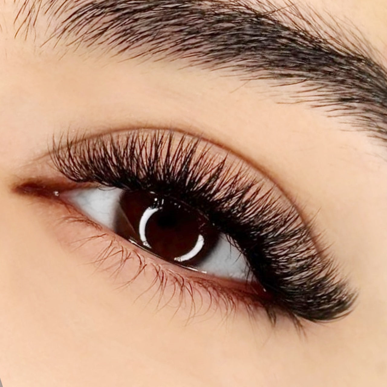 Eyelash Extension Glue - Crystal Plus