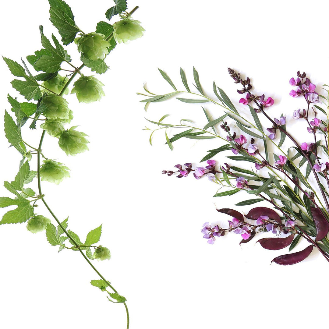 Herb Primer Spray Type
