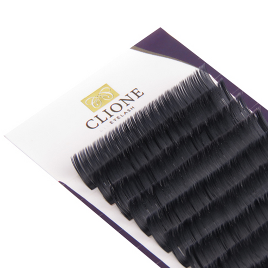 Clione Flat Lash
