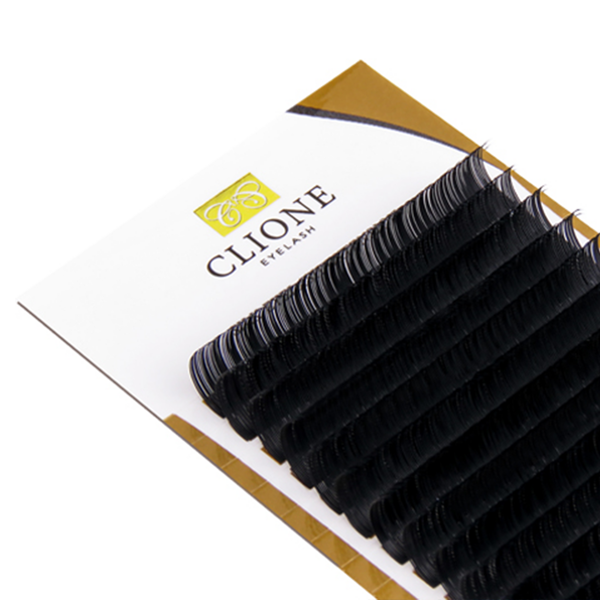 Clione Silk Lash