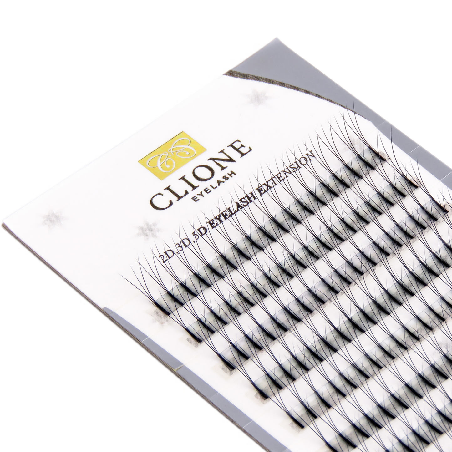 Clione Volume Lash