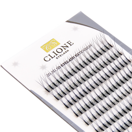 Clione Volume Lash