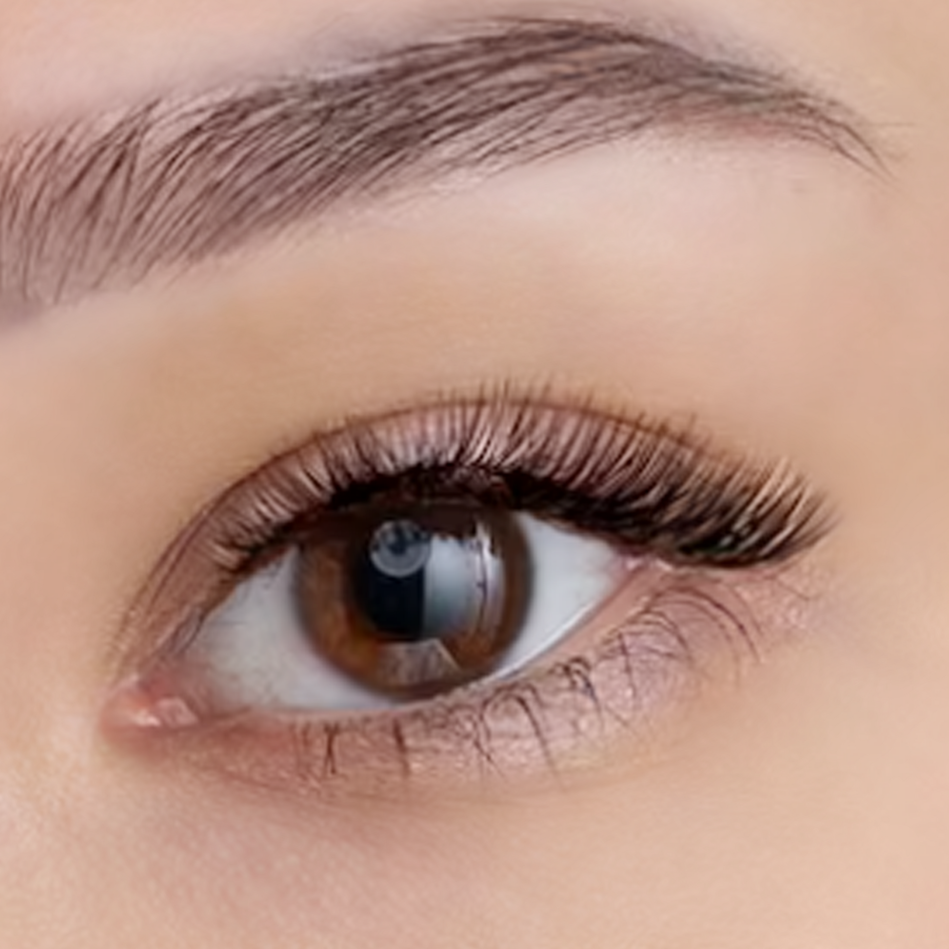 Expert Lash Glue